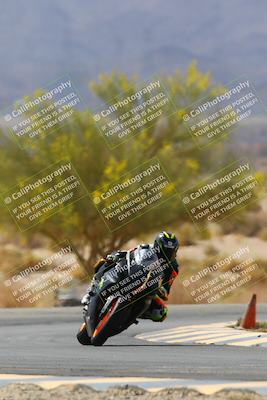 media/Apr-10-2022-SoCal Trackdays (Sun) [[f104b12566]]/Turn 5 Tree of Life (1040am)/